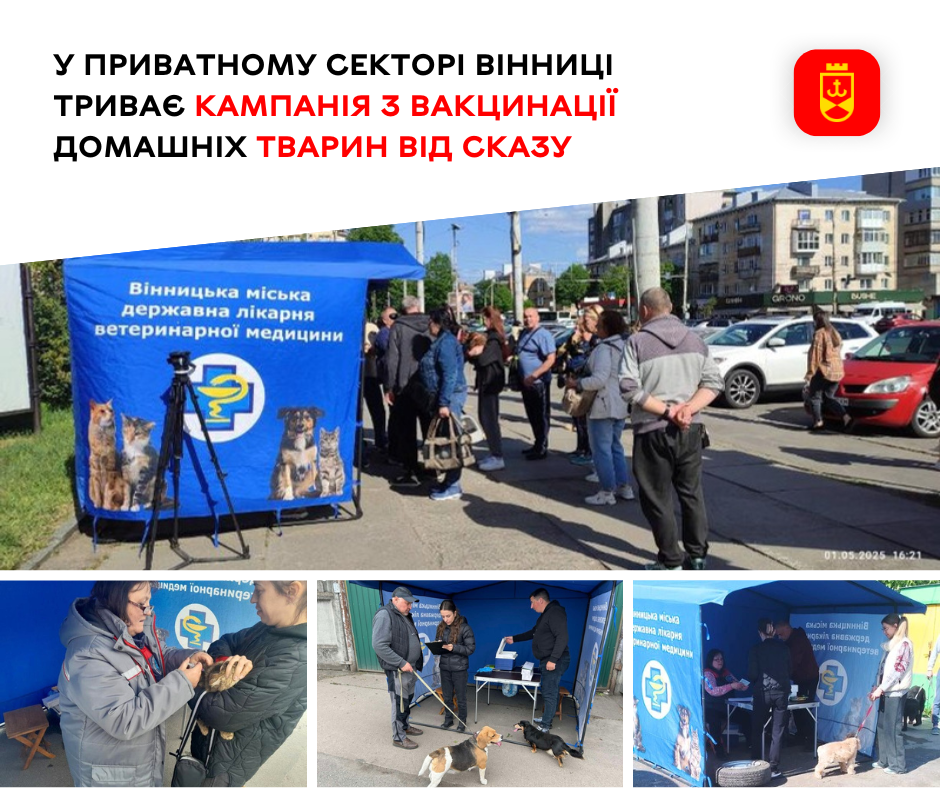 У приватному секторі Вінниці триває кампанія з вакцинації домашніх тварин від сказу